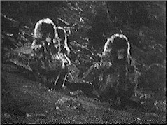 'The welcome of a lifetime?'