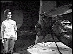 Do you think Barbara has ever seen 'The Fly'?